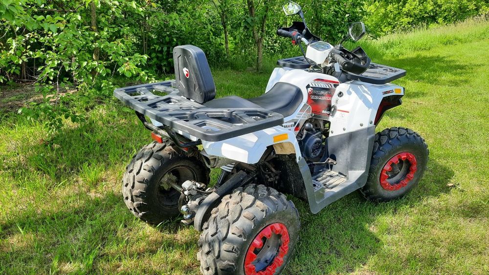 Квадроцикл Forte Braves 200