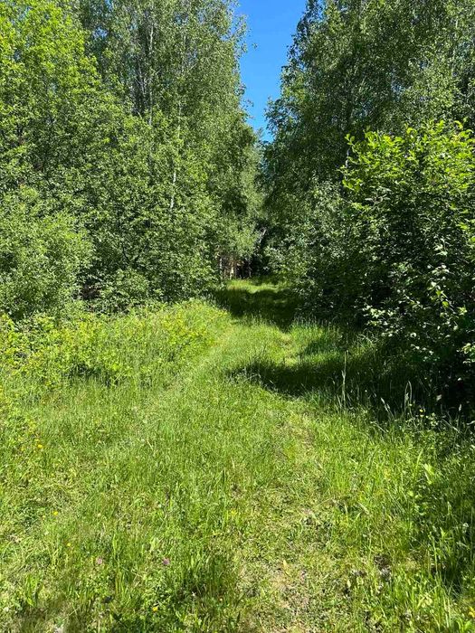 Продається земельна ділянка в с. Ракош