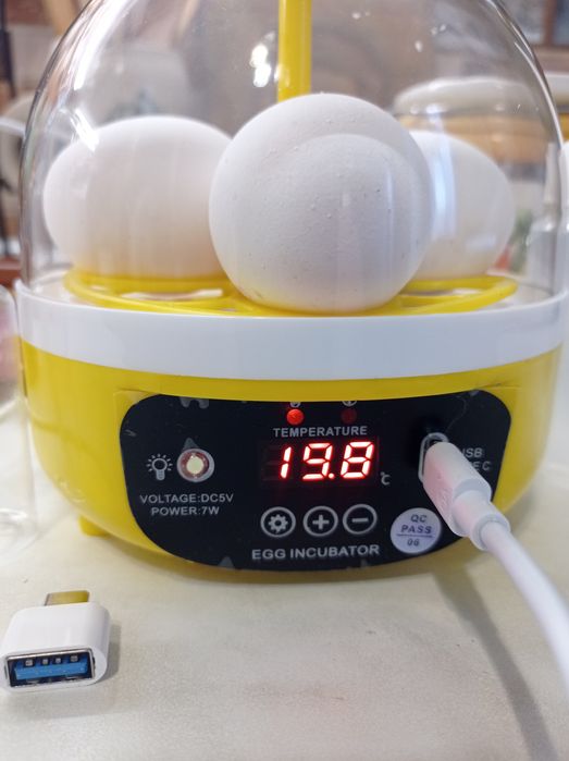 Инкубатор для яиц інкубатор для яєць автоматичний