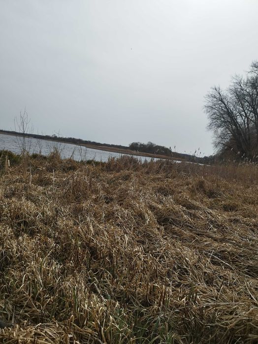 Продаж ділянки в Ворошилівці вихід до Бугу.