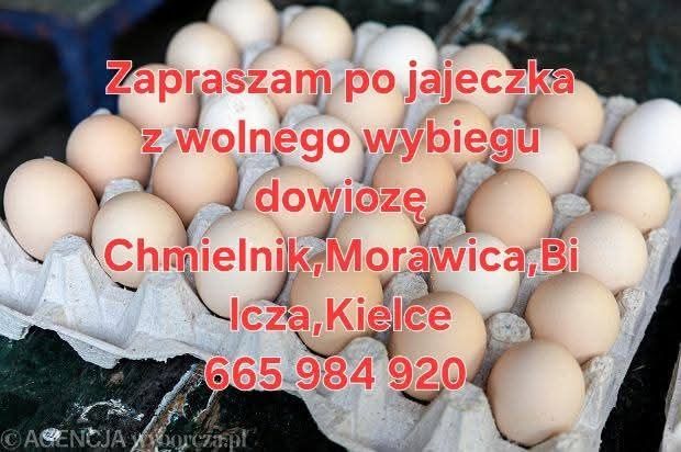 Z wolnego wybiegu