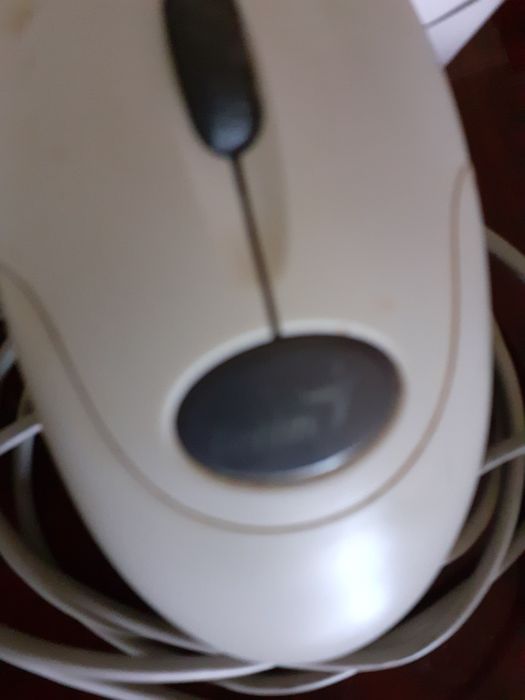 мышка для компьютера