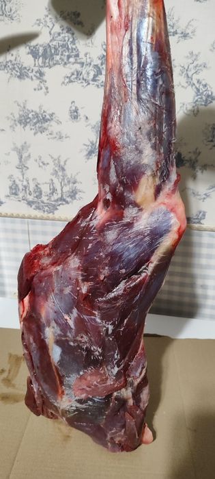 Козуля, задня ніжка, лопатка, каре , вирізка