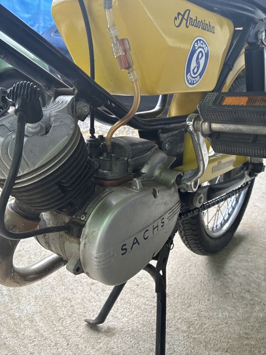 Sachs andorinha amarela