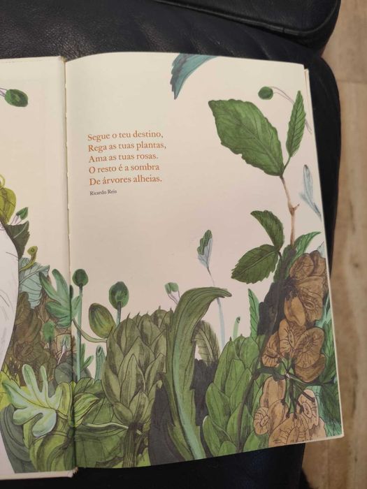 livro infantil em muito bom estado
