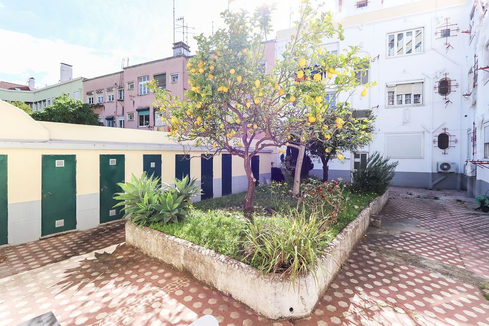 Ótimo Apartamento T3