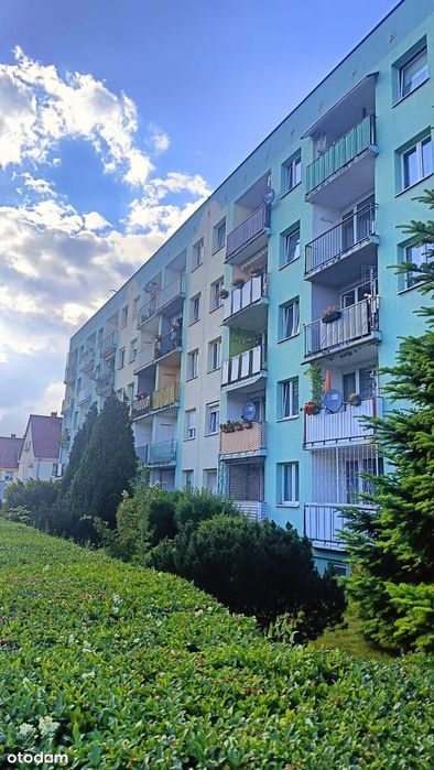 3 pokoje| 49,10 m² | 1. piętro | Żary, ul. Zwycięzców | bez pośrednika