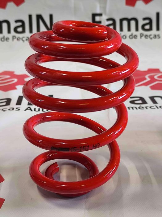 Molas de Rebaixamento BMW 3 MTSXBM233 (OEM)