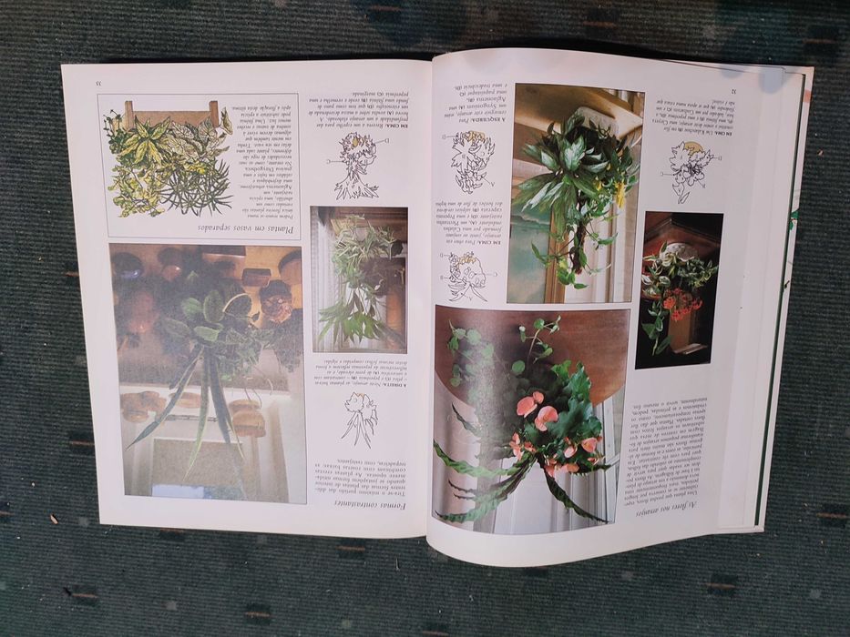 O Grande livro das Plantas de interior