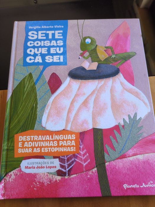 Sete Coisas que eu Cá Sei de Vergílio Alberto Vieira