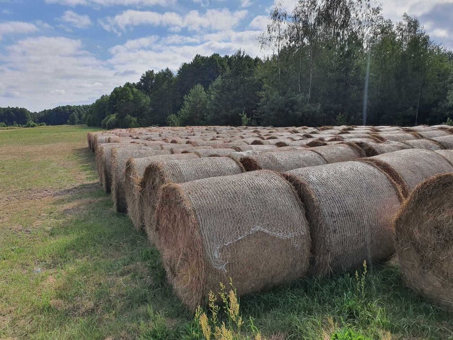 Siano, Słoma  bele 135