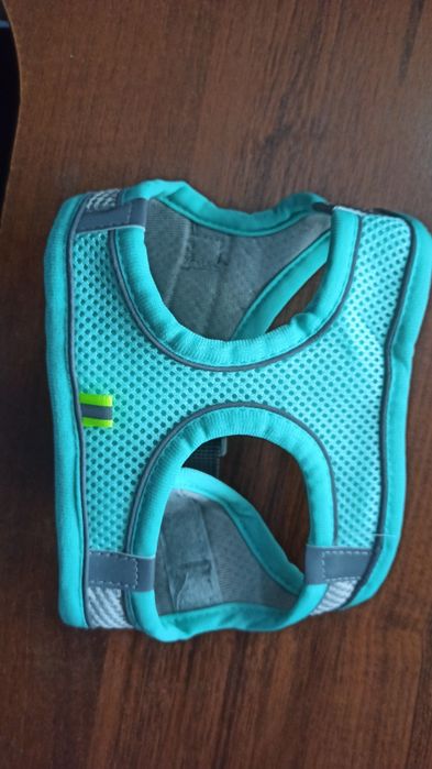 Ошийник для кота собачки