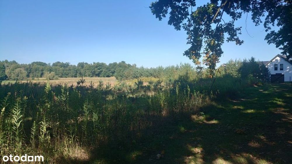 Działka, Piszkawa - Widok 5