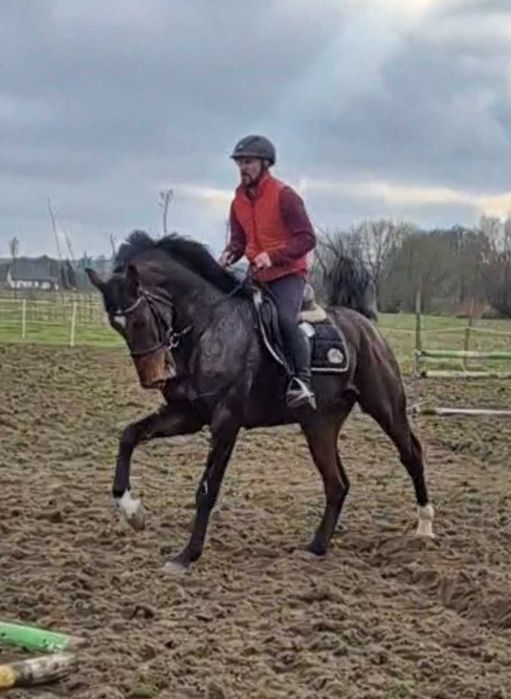 Ogier z licencją do sportu