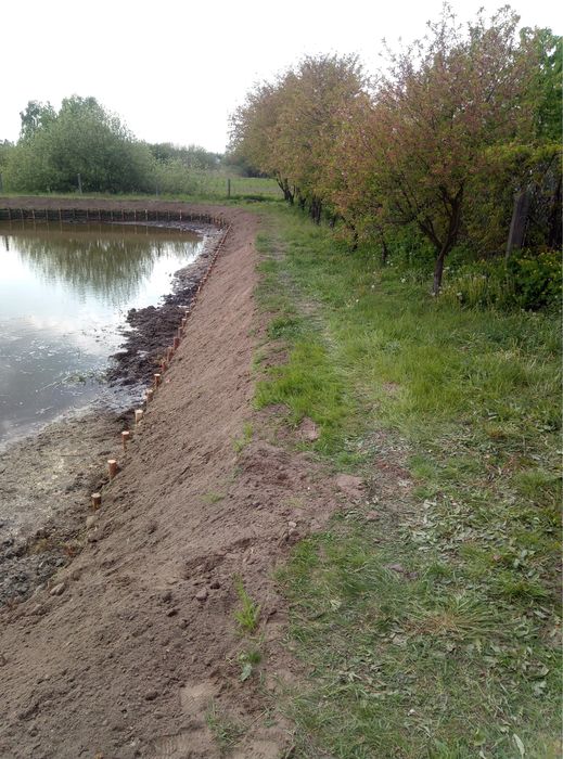 Faszynowanie stawów, umacnianie brzegu