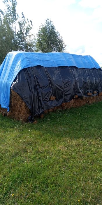 Продам тюки сіна, берегове і звичайне