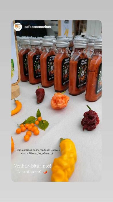 NINGUÉM MERECE - Molho Picante