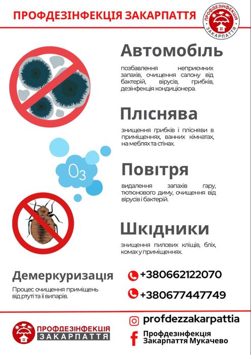 Знишення плісняви та грибку