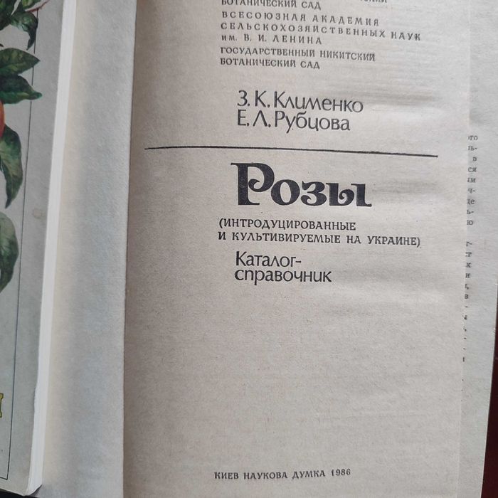 литература по интересам