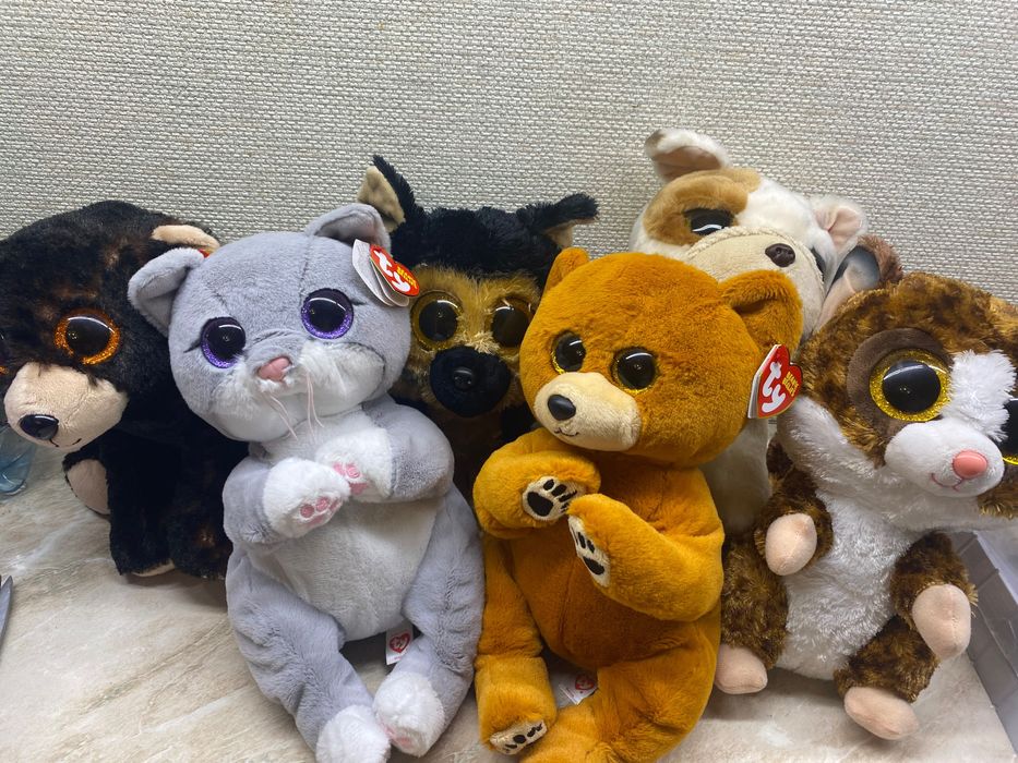 М'яка іграшка TY Beanie babies вівчарка кот лис Ace 20 см (40539)