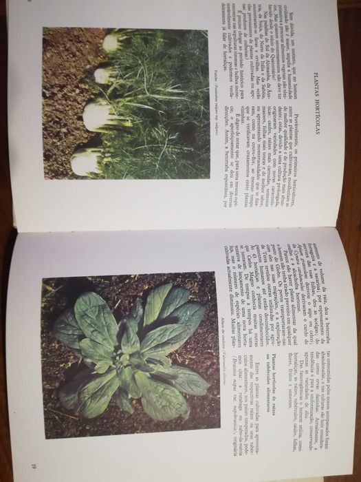 2 livros - O mundo das plantas
