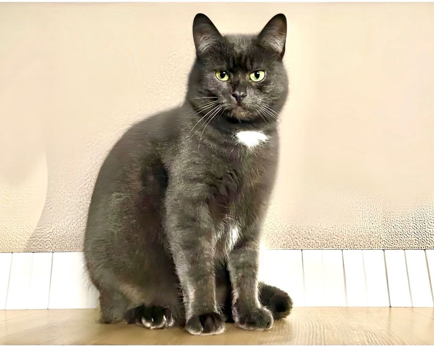 Персей шукає свій Олімп!