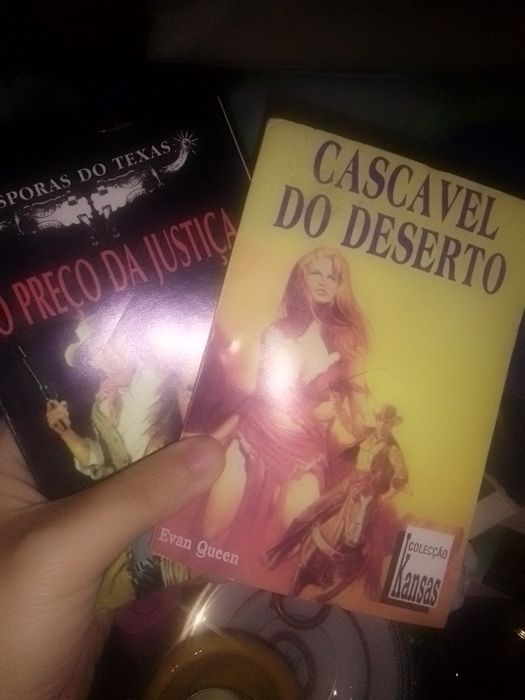 Livros sem desenho aventuras pequenos só esses