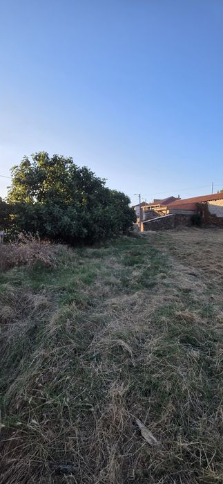 Terreno com 6.000 m² para venda – Excelente oportunidade Eivados/Mirandela