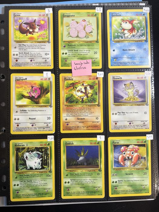 Cartas Pokemon Jungle Pt e Ingles