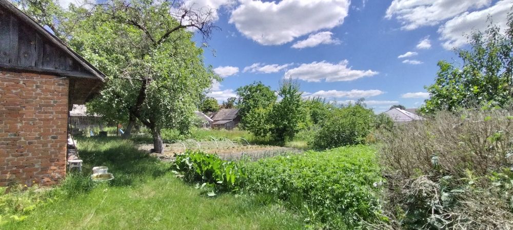 Будинок у Рафалівці - View 2