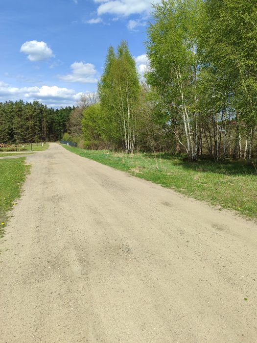 DUŻA DZIAŁKA 6370 M2 / Zielin, gm. Trzebielino | 2000 M2 budowlane | Domek | Uzbrojona - View 6