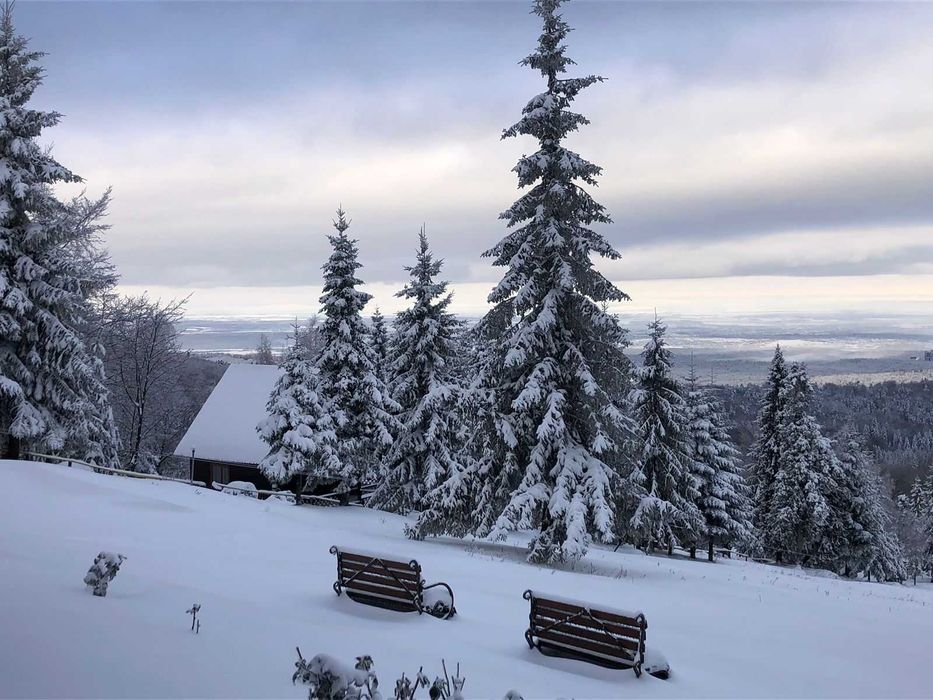 Готель “Карпатські Полонини” | 4 дні / 3 ночі на двох від 5900 грн