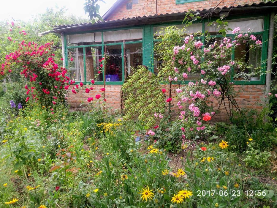 продам дачу біля річки  на Ромашковійна Ромашковій
