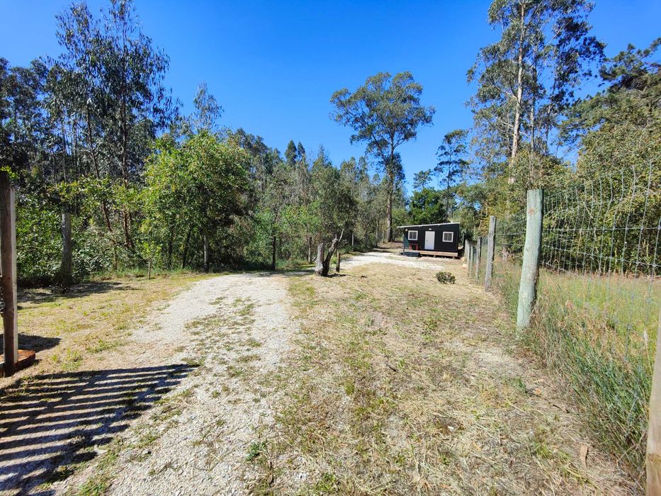 Quintinha Rústica com Moradia T2 pronta a Habitar