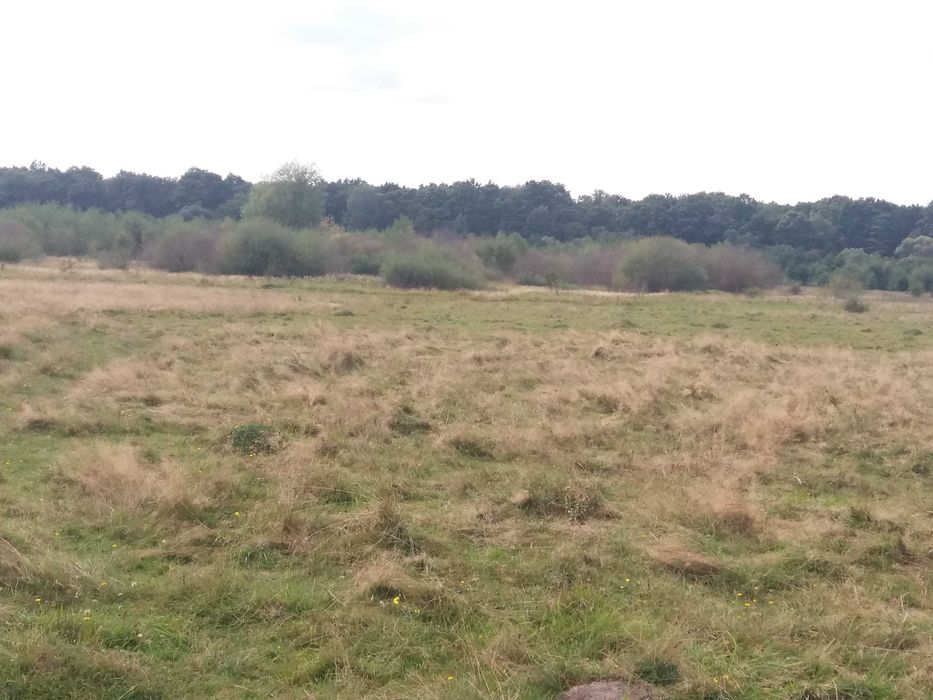 Продажа ділянки біля лісу під забудову