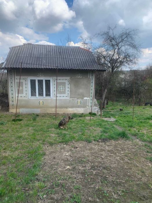 Нерухомість Дача