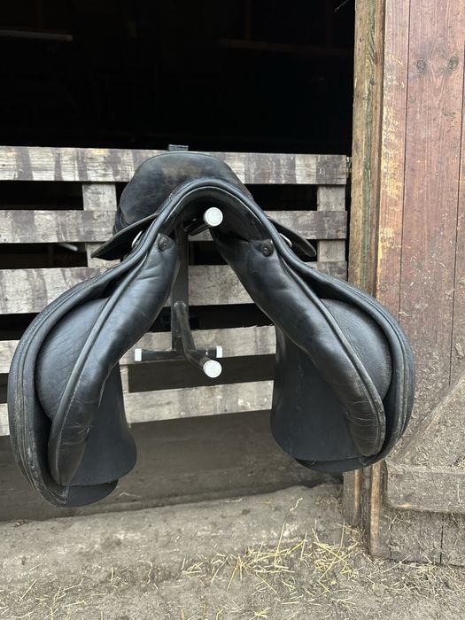 Prestige sydney 32/17