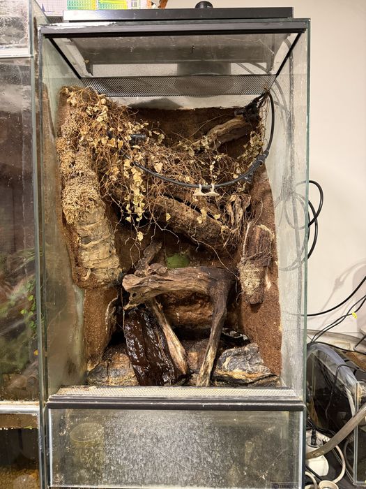 Terrarium 45x45x100 z wystrojem