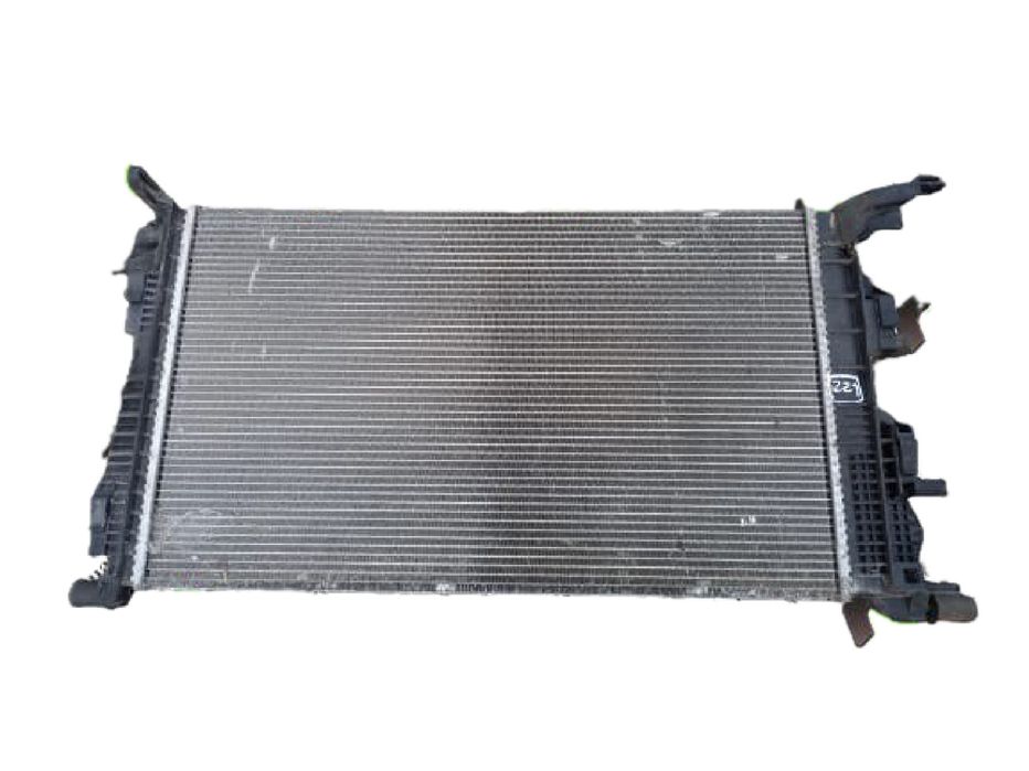 Radiador de água RENAULT Scénic III (JZ0/1_)