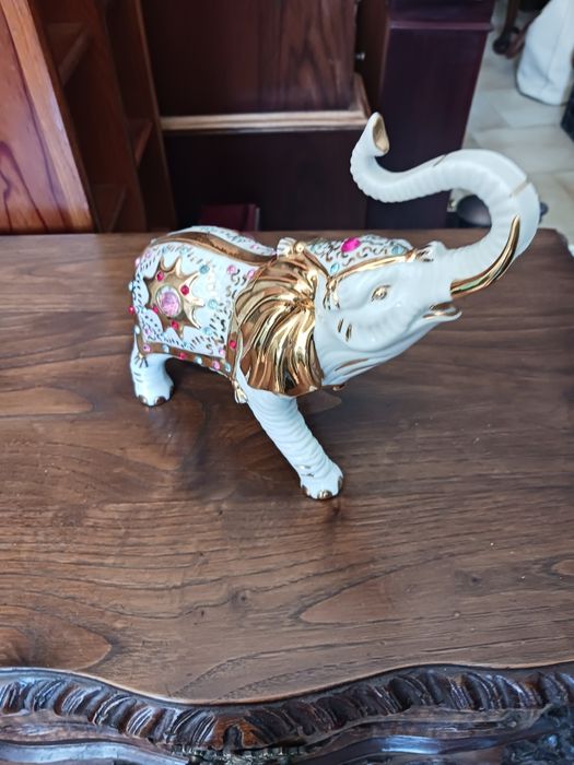 Elefante  bonito