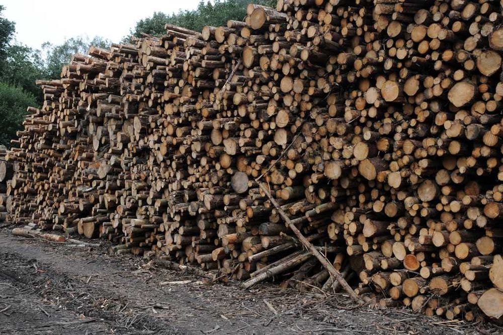 Дрова метрові твердих порід граб бук береза Дрова колоті Дрова чуками