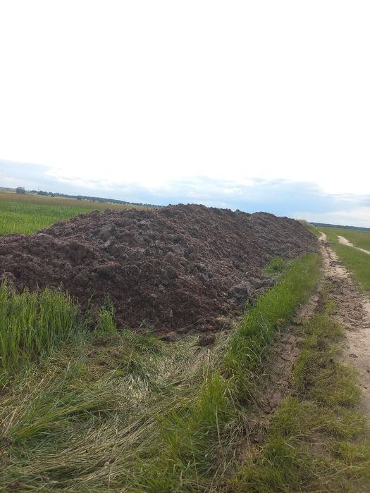 Podłoże popieczarkowe nawóz naturalny gnój pieczarkowy podloze