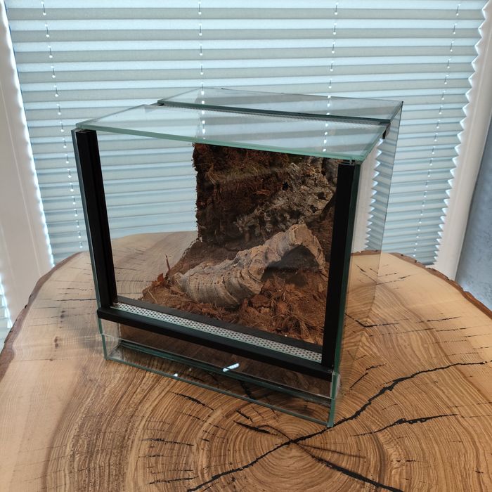 Terrarium 25x25x25