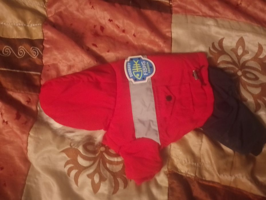 Ubranka dla mniejszego pieska