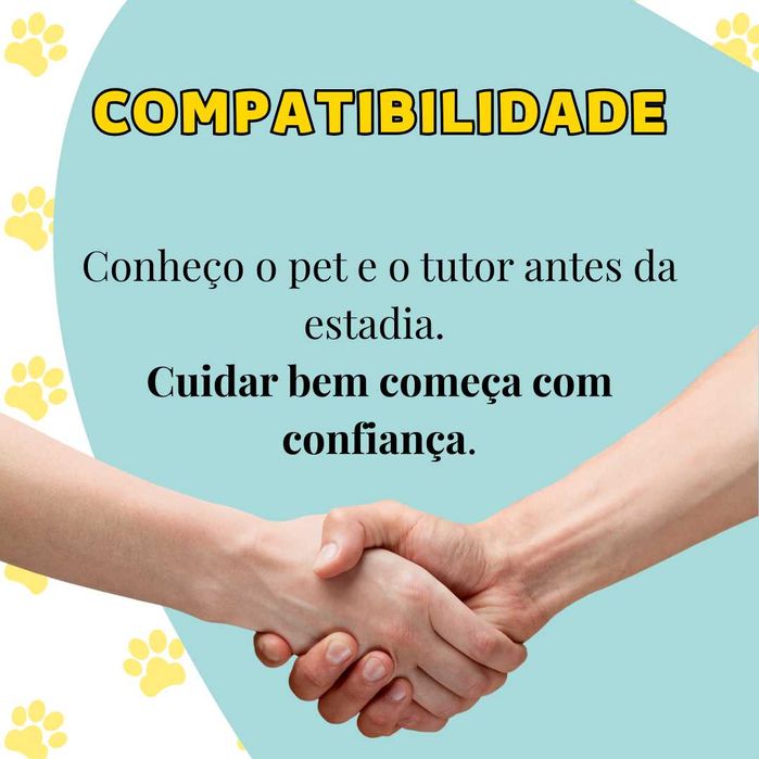 Serviço de Pet Sitter, Hotel para Cães, Cuidado de Animais em Coimbra