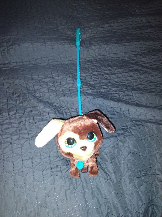 Furreal Walkalot piesek na smyczy, wydający dźwieki Hasbro.