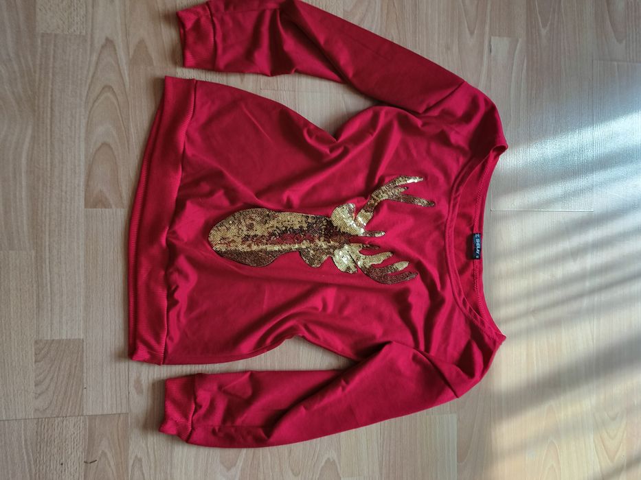 Fajna bluzka z długim rękawem i jelonkiem z cekinów