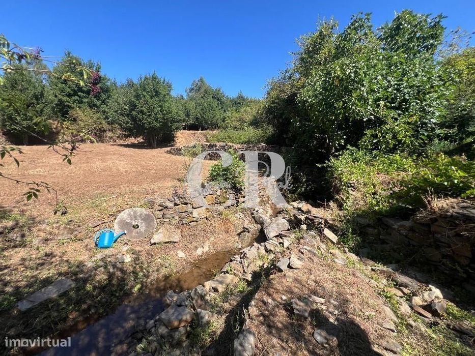 Casa de Pedra Renovada, Ruínas, Riacho, Poços e 15.570m2 de Terreno na