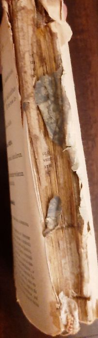 Missal romano de domingos e festas 1953 para restauro