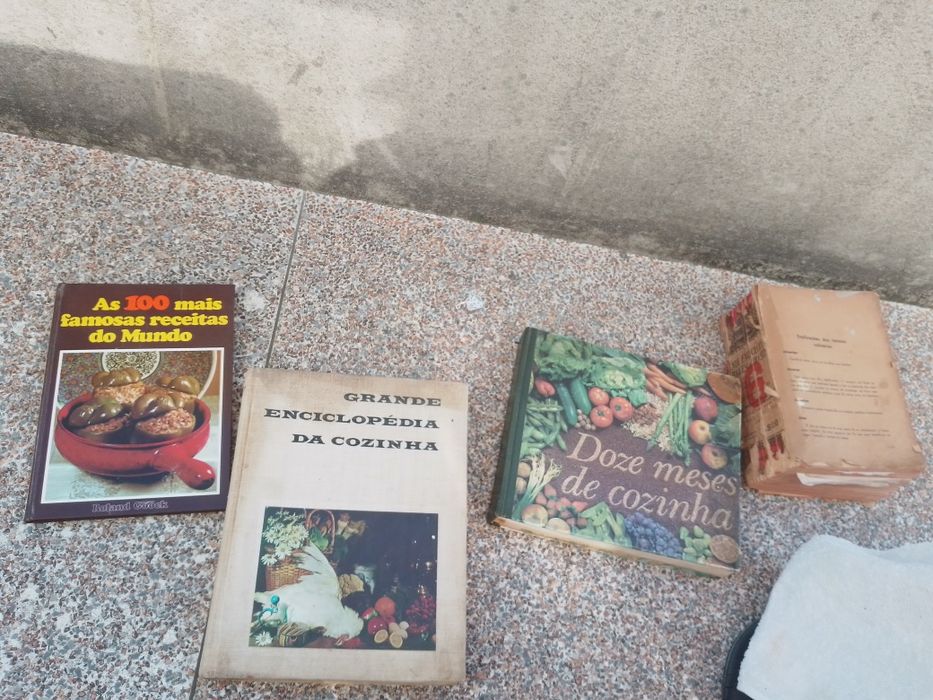 Vários livros de Maria Lourdes Modesto Desde10E-Rego Alfaia-5E Desde2E